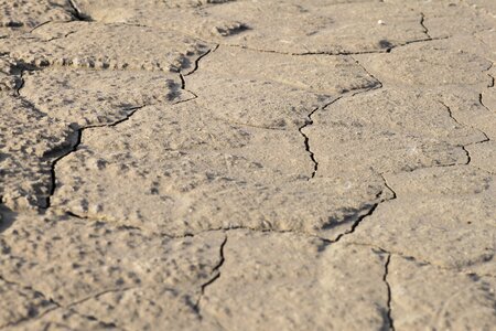Dry drought shriveled from photo