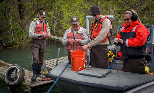 USFWS Fisheries workers bait hooks for Lake sturgeon capture-5 photo