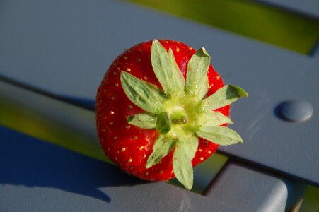 Strawberry fruit flavor photo