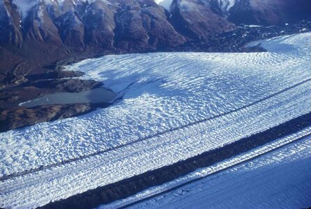 Glacier worm 