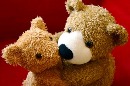 Beautiful Photo photo studio toy