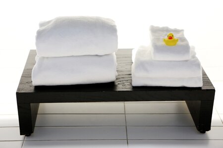 Laundry clean duck