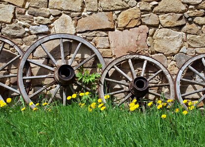 Spokes wooden wheel antique photo