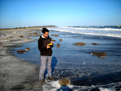 Shoreline survey on Little beach