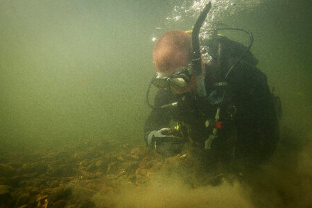 Diver collects freshwater mussels-2
