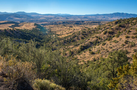 Gila National Forest in New Mexico-2