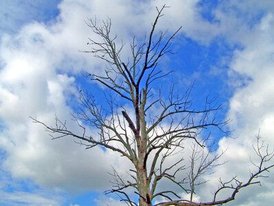 Dry environment sky