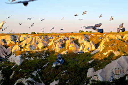 Flock of Birds flying over Cappadocia, Turkey photo