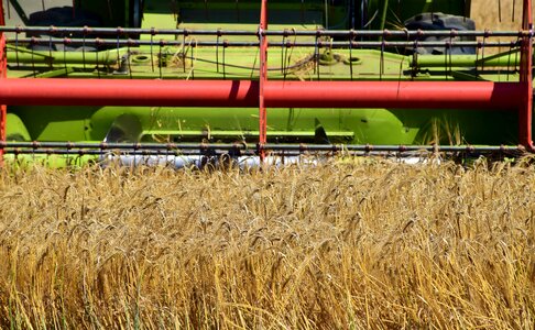 Agriculture diet field