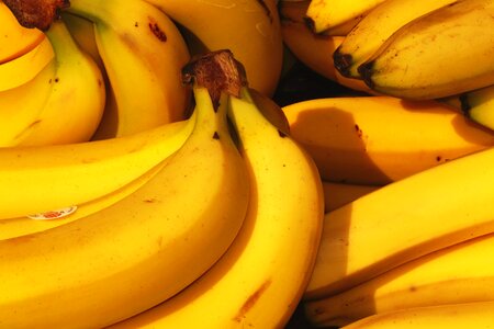 Bunch of Bananas photo