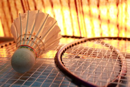 Activity racket racquet photo
