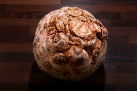 Turnip tuber apium graveolens var rapaceum