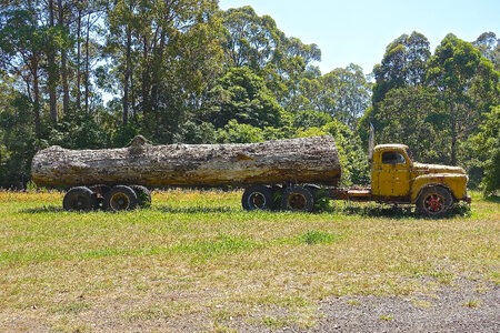 Truck pulling large log in the field photo