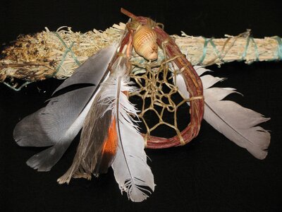 American feathers indian