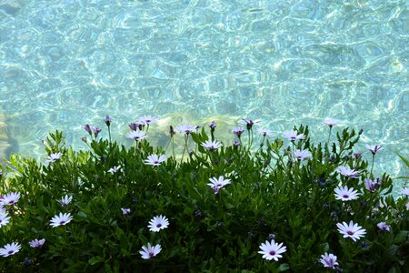 Pamukkale journey summer