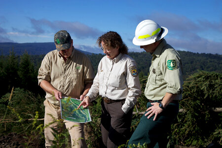 Red spruce restoration partners-1