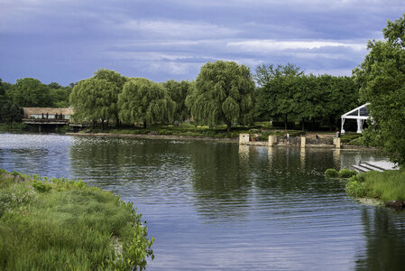 Landscape with lake with trees