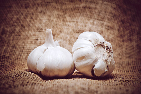 Garlic on burlap background photo