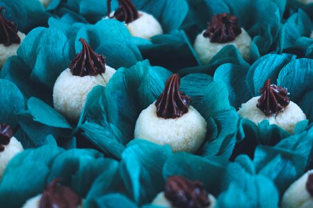 Blue C&y Cakes