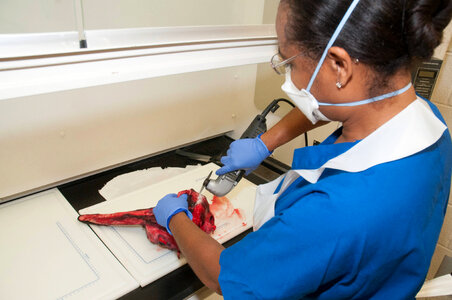 Marine Mammal Stranding Course at NCTC-2