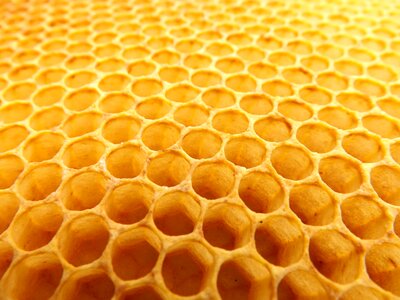 Honeycomb beekeeping beehive