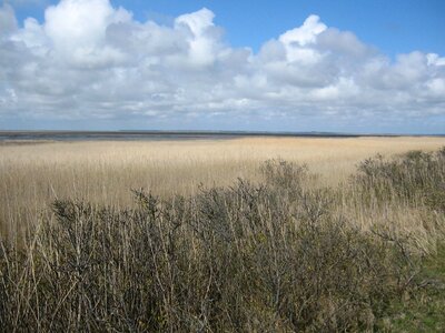 Agriculture cloud countryside photo