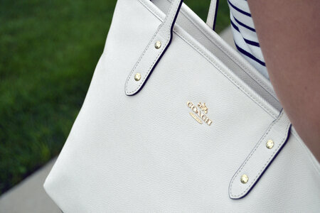 White Handbag photo