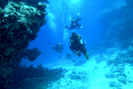 Underwater Diving photo
