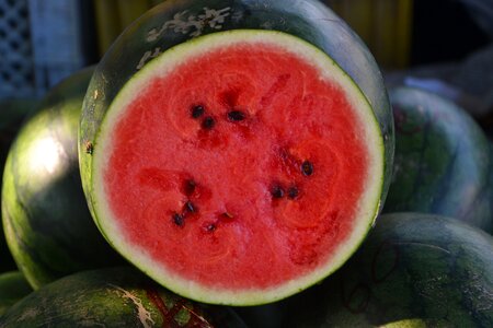 Food fresh healthy