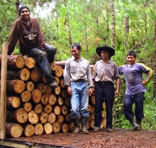 Forest labor 