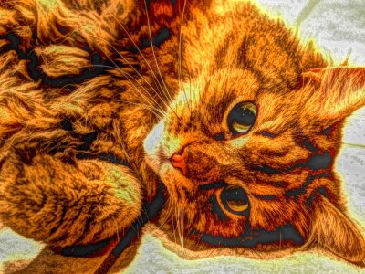 Animal art cat