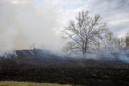 Prescribed burn at NCTC-2