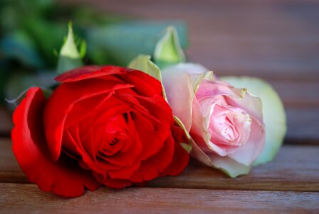 Pink floral gift
