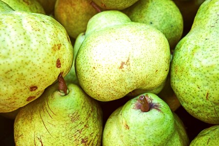 Organic healthy tasty