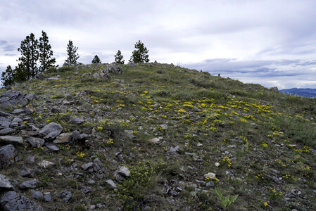 Landscape at the top of Mount Helena