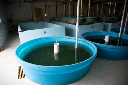 Round hatchery tanks-2