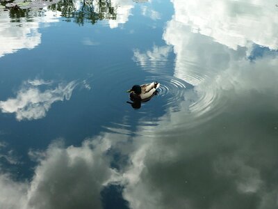 Water shine reflections