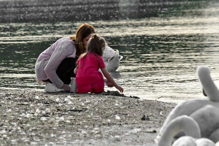 Daughter mother swan