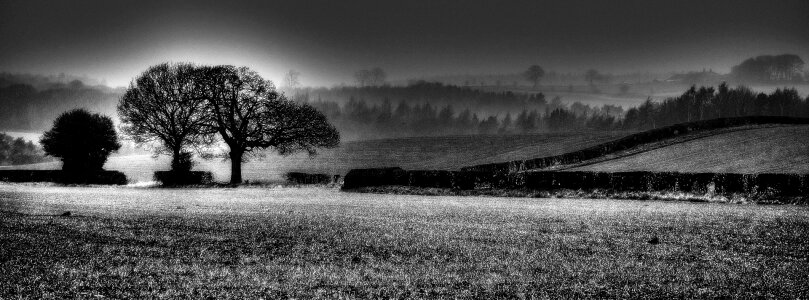 Yorkshire field background