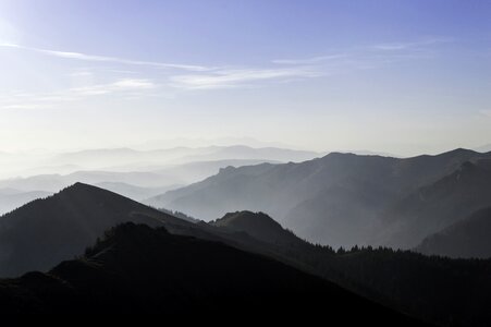 Sunlight spring forest photo