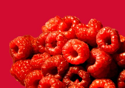 Raspberries fruit dessert