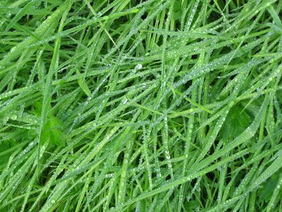 Wet texture water