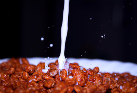 Milk being poured onto chocolate cereal photo