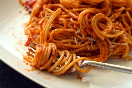 Spaghetti Pasta Closeup photo