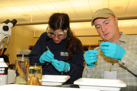 Students identifying fish-2