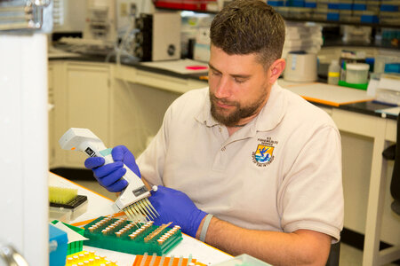 Geneticist at work-1