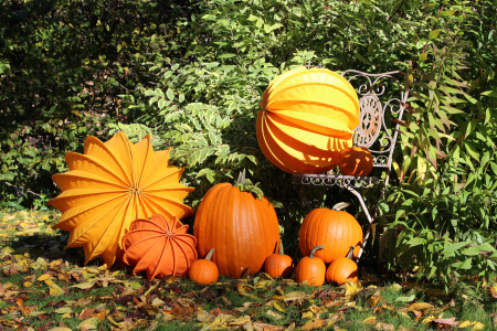 Pumpkins pumpkin autumn decoration