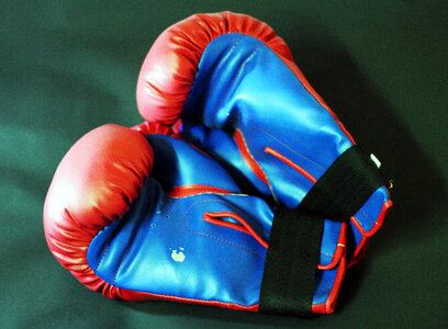 Boxing Gloves photo