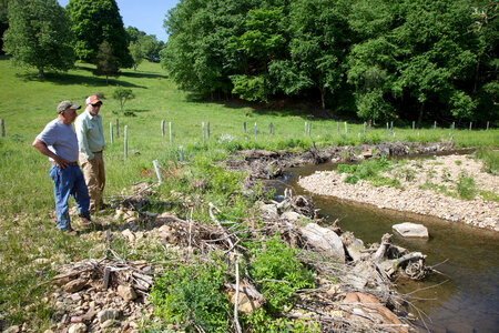 Brook Trout Restoration-4