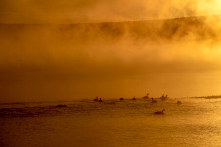 Yellowstone National Park